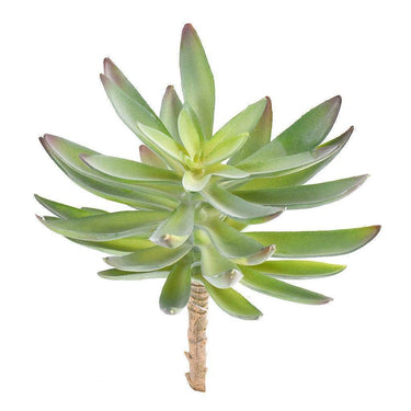 Greenery-Single Stem Succulent-Bloomr
