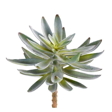 Greenery-Single Stem Succulent-Bloomr