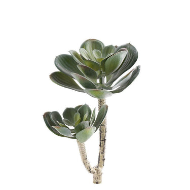 Greenery-Single Stem Succulent-Bloomr