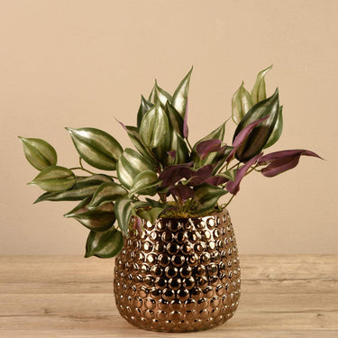 Greenery-Artificial Potted Dark Vanilla Leaf Plant-Bloomr