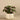 Greenery-Potted Ligularia-Bloomr