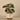 Greenery-Artificial Potted Ligularia-Bloomr