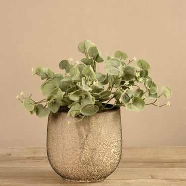 Greenery-Potted Silver Fall-Bloomr
