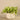Greenery-Potted Vanilla Leaf Plant-Bloomr