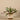 Greenery-Artificial Potted Vanilla Leaf Plant-Bloomr