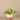 Greenery-Artificial Potted Vanilla Plant-Bloomr