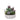 Greenery-Rustic Succulent Arrangement-Bloomr