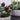 Greenery-Rustic Succulent Arrangement-Bloomr