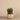 Greenery-Artificial Santa Fe Aloe Arrangement-Bloomr