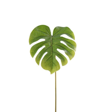 Greenery-Split Philo Small-Bloomr
