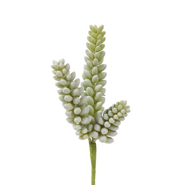Greenery-Succulent-Bloomr