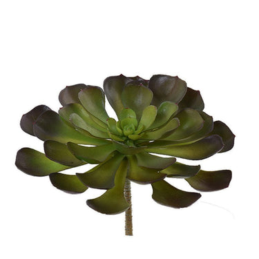 Greenery-Succulent-Bloomr