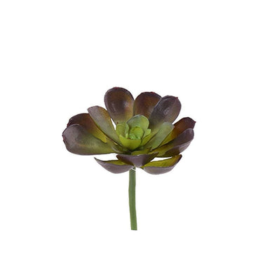 Greenery-Succulent-Bloomr