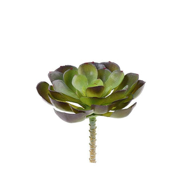 Greenery-Succulent-Bloomr