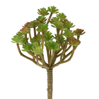 Greenery-Succulent-Bloomr