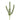 Greenery-Succulent-Bloomr