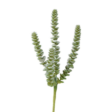 Greenery-Succulent-Bloomr