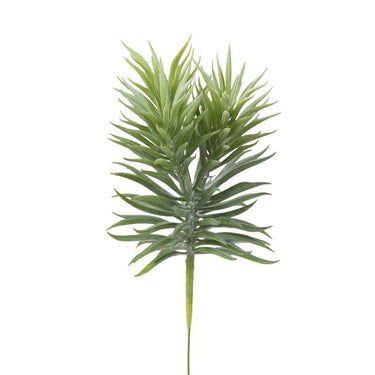 Greenery-Succulent-Bloomr