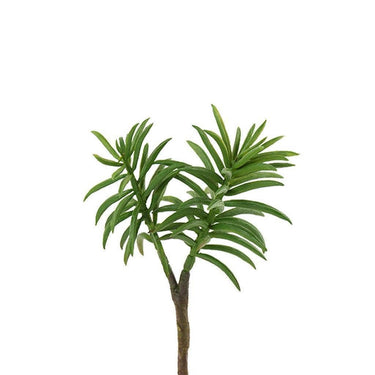 Greenery-Succulent Stem-Bloomr