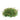Greenery-Tradescantia-Bloomr