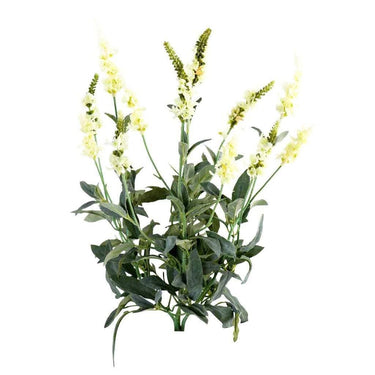 Greenery-Veronica-Bloomr