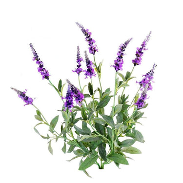 Greenery-Veronica-Bloomr