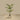 '-Artificial Kentia Palm <br> 150cm-Bloomr