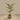'-Artificial Kentia Palm <br> 150cm-Bloomr
