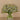 Floral Arrangement-Sedum Arrangement in Glass Vase-Bloomr
