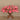 Floral Arrangement-Anthurium Arrangement in Glass Vase-Bloomr