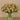 Floral Arrangement-Sedum Arrangement in Glass Vase-Bloomr