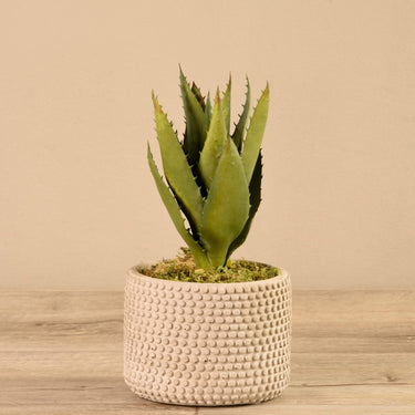 Plants-Artificial Aloe in Cement Pot-Bloomr