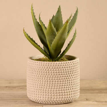 Plants-Artificial Aloe in Cement Pot-Bloomr