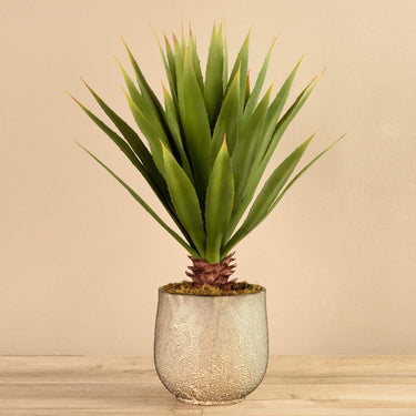 Plants-Artificial Potted Agave-Bloomr