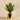 Plants-Artificial Potted Agave-Bloomr
