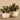 Plants-Artificial Potted Ligularia-Bloomr