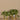 Plants-Artificial Potted Peperomia-Bloomr