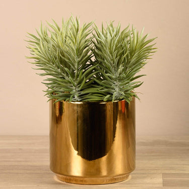 Plants-Artificial Potted Sprout Succulent-Bloomr