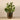 Plants-Artificial Potted Watercress-Bloomr