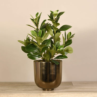 Plants-Artificial Potted Watercress-Bloomr