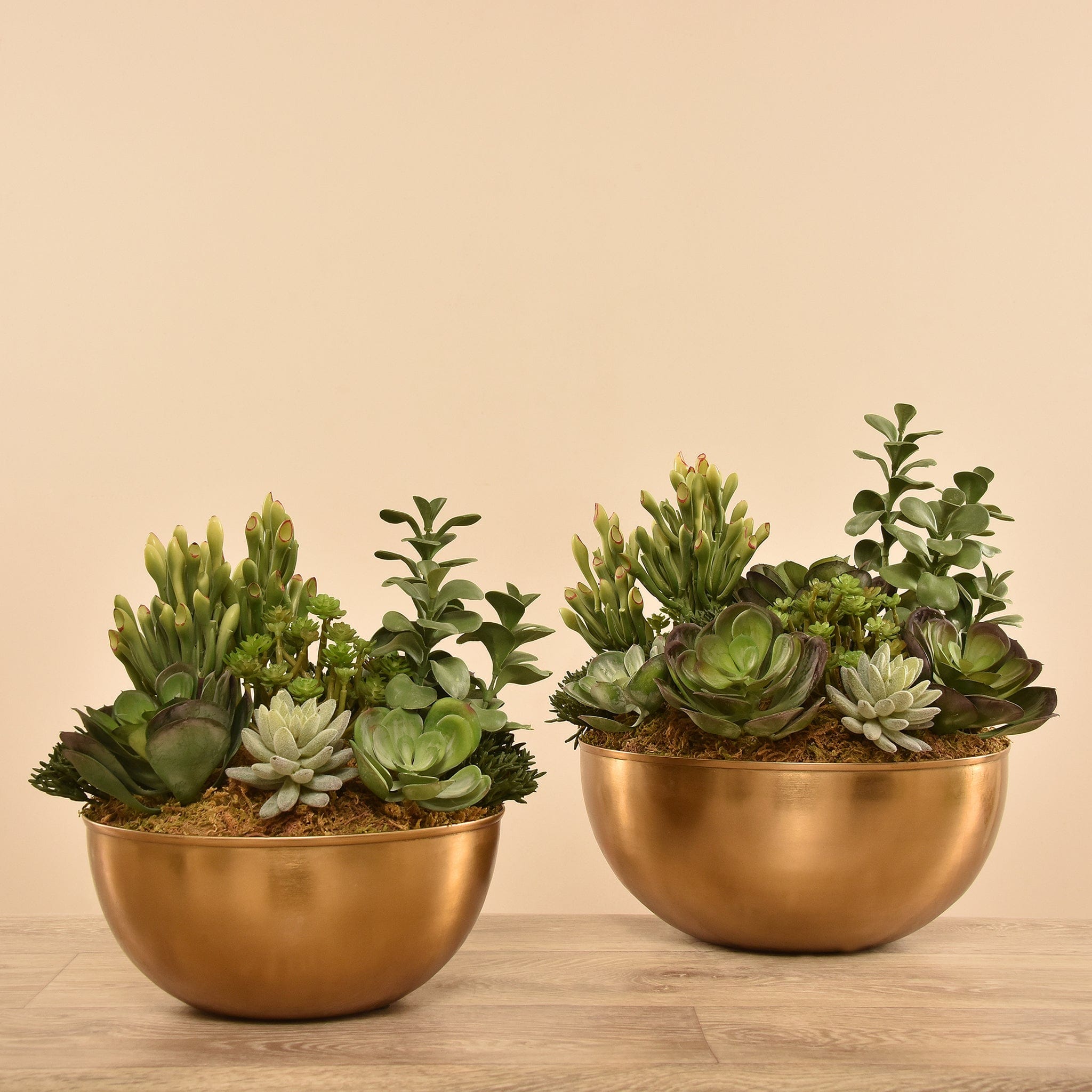 succulent plants dubai Artificial Succulent Arrangement – Bloomr