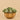 Plants-Artificial Succulent Arrangement-Bloomr