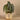 Plants-Artificial Begonia Maculata in White & Gold Pot-Bloomr