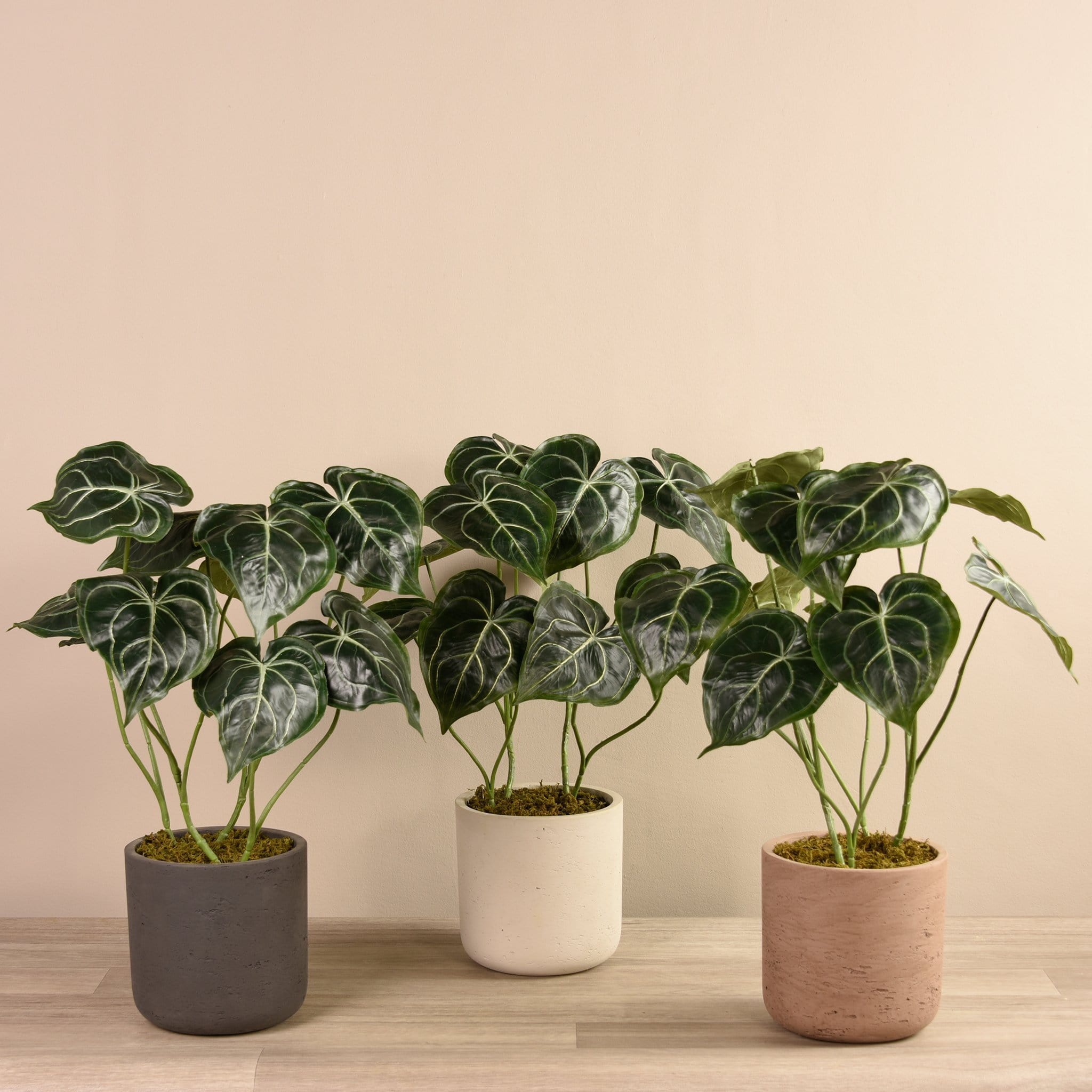 anthurium concrete Artificial Anthurium Plant in Cement Pot – Bloomr