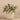 Plants-Artificial Fittonia in Cement Pot-Bloomr