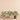 Plants-Preperomia Plant in Cement Pot-Bloomr