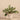 Plants-Artificial Vanilla Leaf in Cement Pot-Bloomr