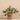 Plants-Artificial Vanilla Leaf in Cement Pot-Bloomr