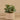 Plants-Artificial Eucalyptus In Cement Pot-Bloomr