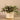 Plants-Artificial Potted Dark Vanilla Leaf Plant-Bloomr